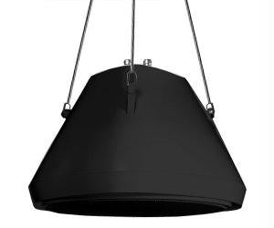 30watt 5.25inpendant Speaker And Chain Bk